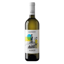 Wino Cantine Borga Sauvignon I.G.T. Trevenezie 12,5% białe wytrawne 750 ml