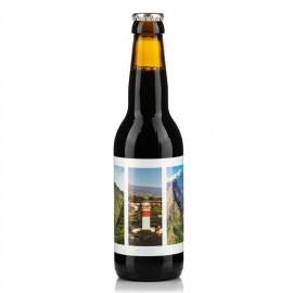 Piwo Pinta Dalons Indian Baltic Porter 8% 330 ml