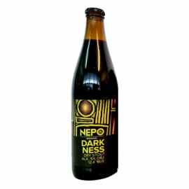 Piwo Nepomucen Darkness - Dry Stout 5% 500 ml