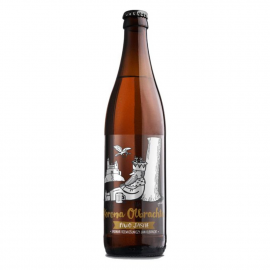 Piwo Jan Olbracht Tureńskie Jasne 5,2% 500 ml