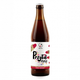 Piwo Hoplala Przytul Mnie - Dunkel Korzenny 6% 500 ml