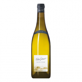 Wino Pascal Jolivet Blanc Fume 12,5% białe wytrawne 750 ml