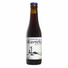 Piwo Lupulus Hibernatus 9,5% 330 ml