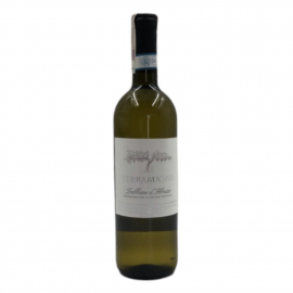 Wino Cantina Tollo Terrabuna 12,5% białe wytrawne 750 ml