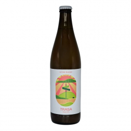 Piwo Cztery Ściany Trasa Hazy IPA 6,8% 500 ml