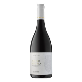 Wino Castell D'Age 100% Syrah Amfora NAT 0% SO2 15% czerwone wytrawne 750 ml