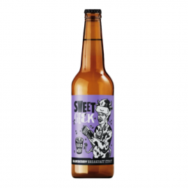 Piwo AleBrowar Sweet Geek Blueberry Breakfast Stout 5% 500 ml