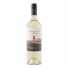 Wino Morande Pionero Reserva Sauvignon Blanc 13% białe wytrawne 750 ml