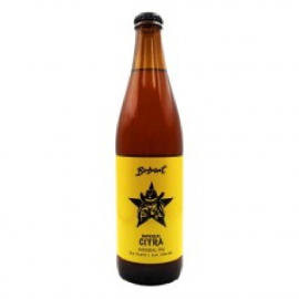 Piwo AleBrowar Tinecia Hazy Pale Ale 4,9% 500 ml