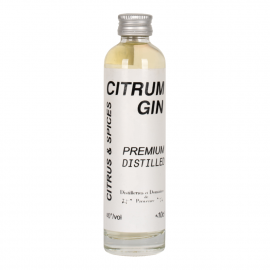 Gin Citrum 40% 100 ml
