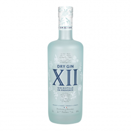 Gin XII 42% 100 ml