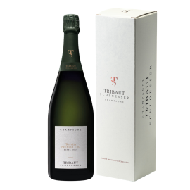 Szampan Tribaut Premier Cru Kartonik 12,5% białe wytrawne 750 ml