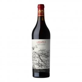Wino Colledila Gran Selezione 2019 14% czerwone wytrawne 750 ml