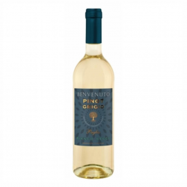 Wino Benvenuto Pinto Grigio białe wytrawne 12% 750 ml