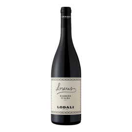 Wino Lodali Lorens Barbera D'Alba DOC 14,5% czerwone wytrawne 750 ml