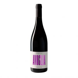 Wino Avoglia Primitivo 2022 13,5% czerwone wytrawne 750 ml