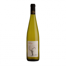 Wino Domaine Gerard Metz Pinot Gris 2023 13,3% białe wytrawne 750 ml