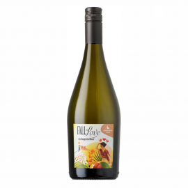 Wino Musujące Fall in Love Frizzante 11,5% białe wytrawne 750 ml