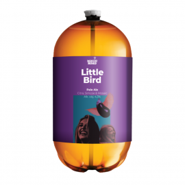 Piwo Magic Road Little Bird Pale Ale 4,3% 30 l keg pet