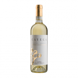 Wino Tenuta Carretta Roero Arneis Cayega DOCG'20 13,5% białe wytrawne 750 ml