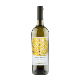 Wino Terre Dei Dogi IGP Ribolla Gialla 12,5% białe wytrawne 750 ml