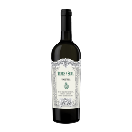 Wino Terre di Sera Bianco Vino d'Italia 11,5% białe półwytrawne 750 ml