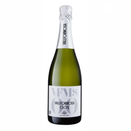 Wino bezalkoholowe Cava Brut Vallformosa 0% 750 ml