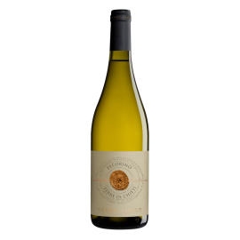 Wino Feudo Antico Pecorino Terre di Chieti IGP 2022 13%  białe wytrawne 750 ml