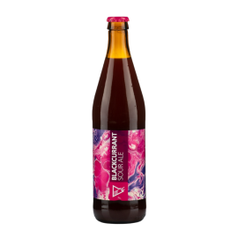 Piwo Funky Fluid Free Black Currant Sour 0% 500 ml
