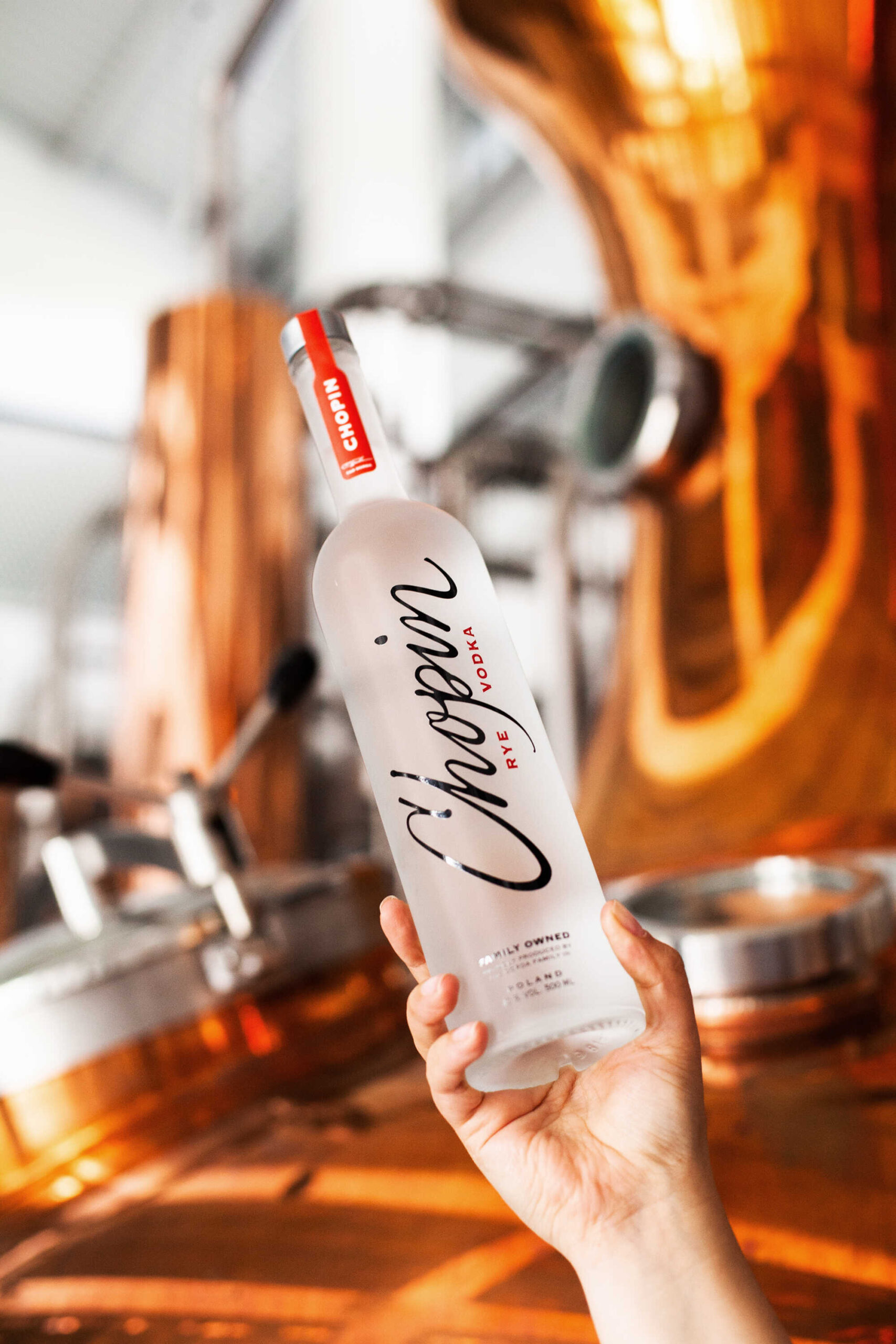 Dictador Game Changer