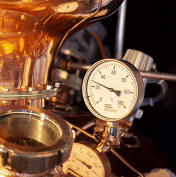 Dictador Game Changer